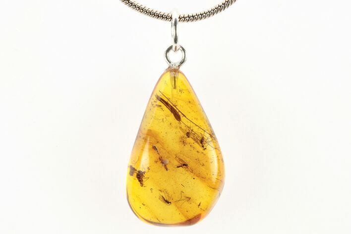 Polished Baltic Amber Pendant (Necklace) - Contains Fly Swarm! #273508